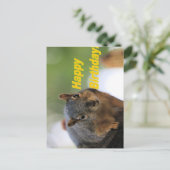 Carte Postale Écureuil d'anniversaire (Debout devant)