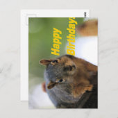 Carte Postale Écureuil d'anniversaire (Devant / Derrière)