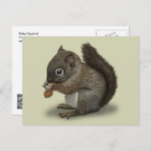 Carte Postale Écureuil de bébé (Devant / Derrière)