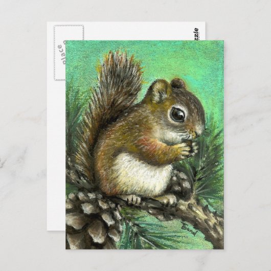 Carte Postale Écureuil de bébé et cônes (Devant / Derrière)