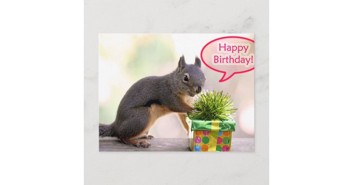 Carte Postale Ecureuil De Joyeux Anniversaire Zazzle Be
