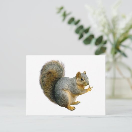 Carte Postale Écureuil de paix (Debout devant)