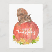 Carte Postale Écureuil de Thanksgiving sur citrouille (Devant)
