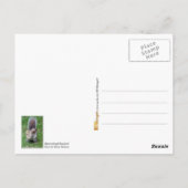 Carte Postale Écureuil déterminé (Dos)
