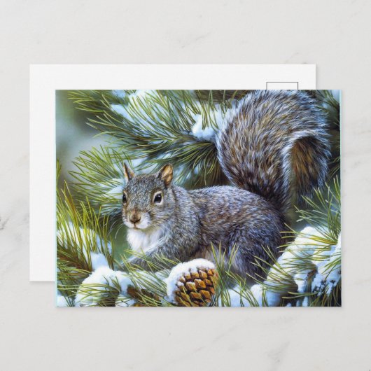 Carte Postale Écureuil d'hiver (Devant / Derrière)
