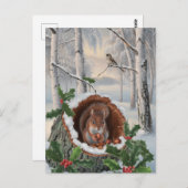 Carte Postale Écureuil d'hiver (Devant / Derrière)