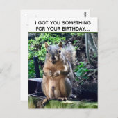 Carte Postale Écureuil Drôle Deez Noix Anniversaire Inapproprié (Devant / Derrière)