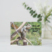 Carte Postale Écureuil en colère (Debout devant)