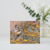 Carte Postale Écureuil et Chipmunk (Debout devant)