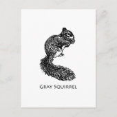 Carte Postale Écureuil gris (Devant)