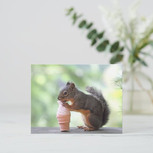 Carte Postale Écureuil mangeant un cône de glace (Debout devant)