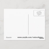 Carte Postale Écureuil Mangeant Une Pomme (Dos)