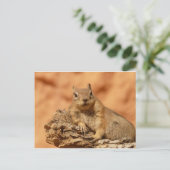 Carte Postale Écureuil mignon (Debout devant)