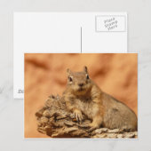 Carte Postale Écureuil mignon (Devant / Derrière)