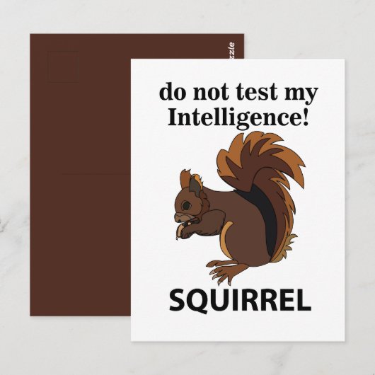 Carte Postale Écureuil N'essayez Pas De Tester Mon Intelligence (Devant / Derrière)