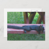 Carte Postale Écureuil noir (Devant / Derrière)