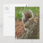 Carte Postale Écureuil "Peek-a-boo" (Devant / Derrière)