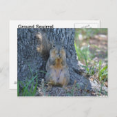 Carte Postale Écureuil priant (Devant / Derrière)