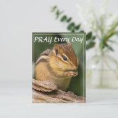 Carte Postale Écureuil priant chaque jour  (Debout devant)