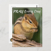 Carte Postale Écureuil priant chaque jour  (Devant / Derrière)