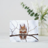 Carte Postale Écureuil rouge amical (Debout devant)