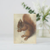 Carte Postale Écureuil rouge | Hans Hoffmann (Debout devant)