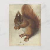 Carte Postale Écureuil rouge | Hans Hoffmann (Devant)