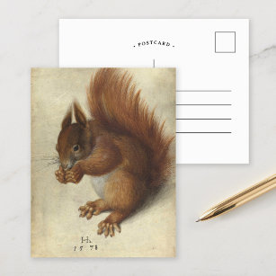 Carte Postale Écureuil rouge   Hans Hoffmann