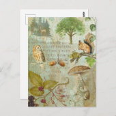 Carte Postale Écureuil sauvage de la forêt forestière, Chouette, (Devant / Derrière)