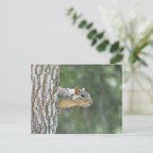 Carte Postale Écureuil "sentinelle" (Debout devant)