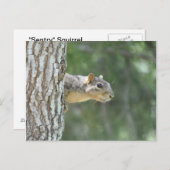 Carte Postale Écureuil "sentinelle" (Devant / Derrière)