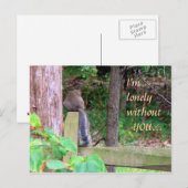 Carte Postale Écureuil solitaire (Devant / Derrière)