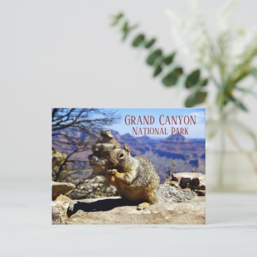 Carte Postale Écureuil sur Rock Nibbling Snack, Grand Canyon (Debout devant)