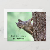 Carte Postale Écureuil sur un arbre (Devant / Derrière)