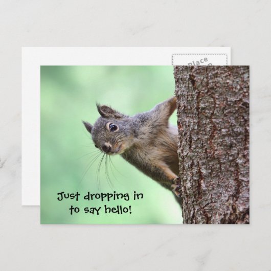 Carte Postale Écureuil sur un arbre (Devant / Derrière)