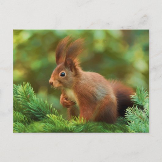 Carte Postale Écureuil sur un arbre (Devant)