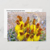 Carte Postale Écureuil terrestre et cactus-baril (Devant / Derrière)