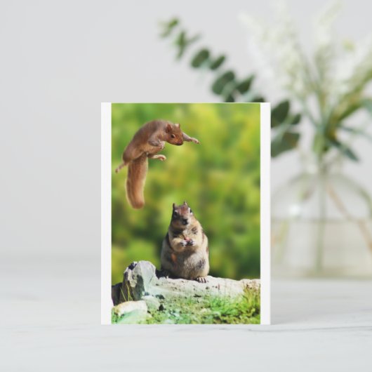 Carte Postale Écureuil volant (Debout devant)