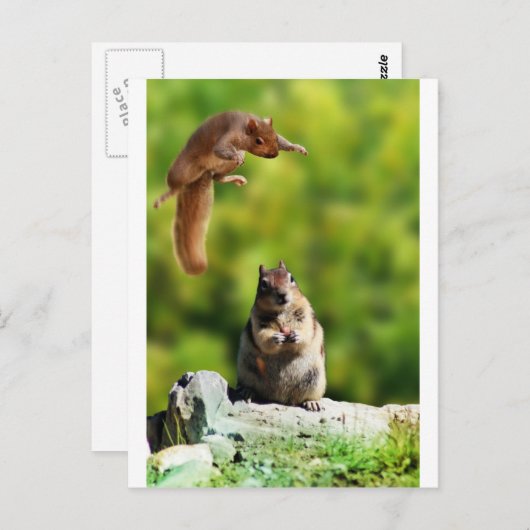 Carte Postale Écureuil volant (Devant / Derrière)
