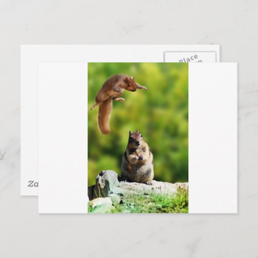 Carte Postale Écureuil volant (Devant / Derrière)