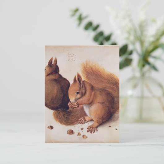 Carte Postale Écureuils, 1512 (Debout devant)