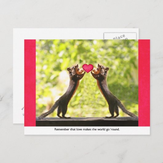 Carte Postale Écureuils amoureux (Devant / Derrière)