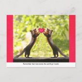 Carte Postale Écureuils amoureux (Devant)