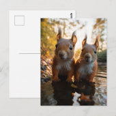 Carte Postale Écureuils mignons (Devant / Derrière)