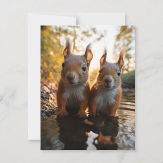 Carte Postale Écureuils mignons