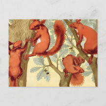 Écureuils rouges vintage nature automne Verneuil a