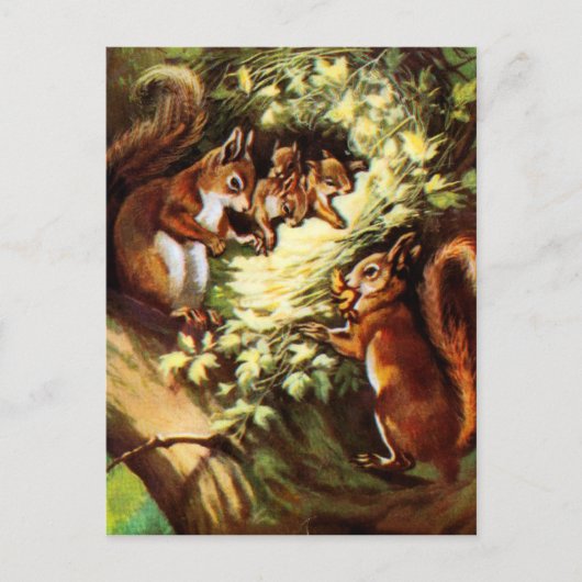 Carte Postale Écureuils vintages (Devant)
