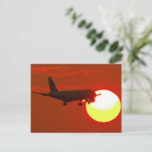 CARTE POSTALE EDDL0530-2 (Debout devant)