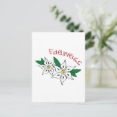 Carte Postale Edelweiss (Debout devant)