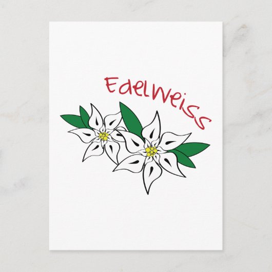 Carte Postale Edelweiss (Devant)